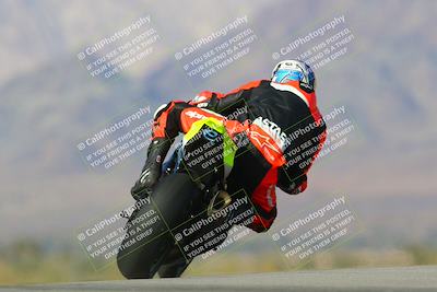 media/Jan-13-2024-SoCal Trackdays (Sat) [[9c032fe5aa]]/Turn 9 Backside (110pm)/